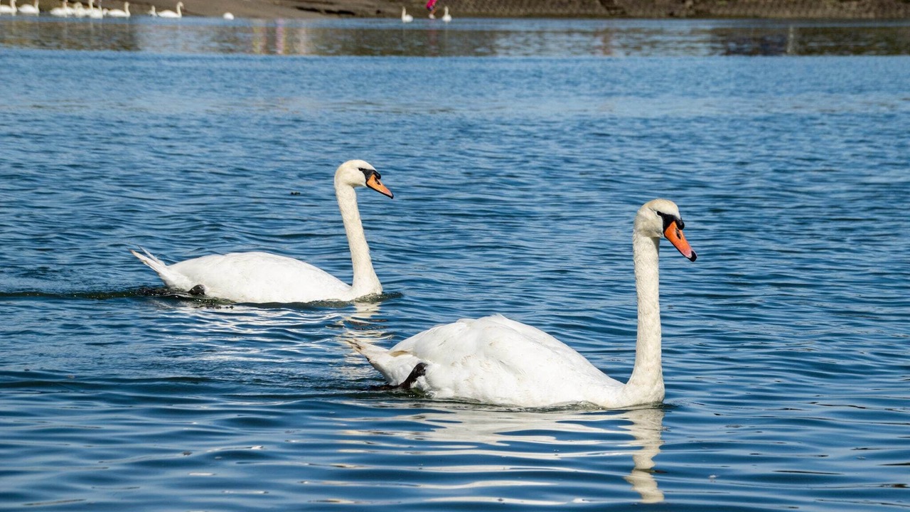 Photo of Outdoor in Burnham-on-Crouch