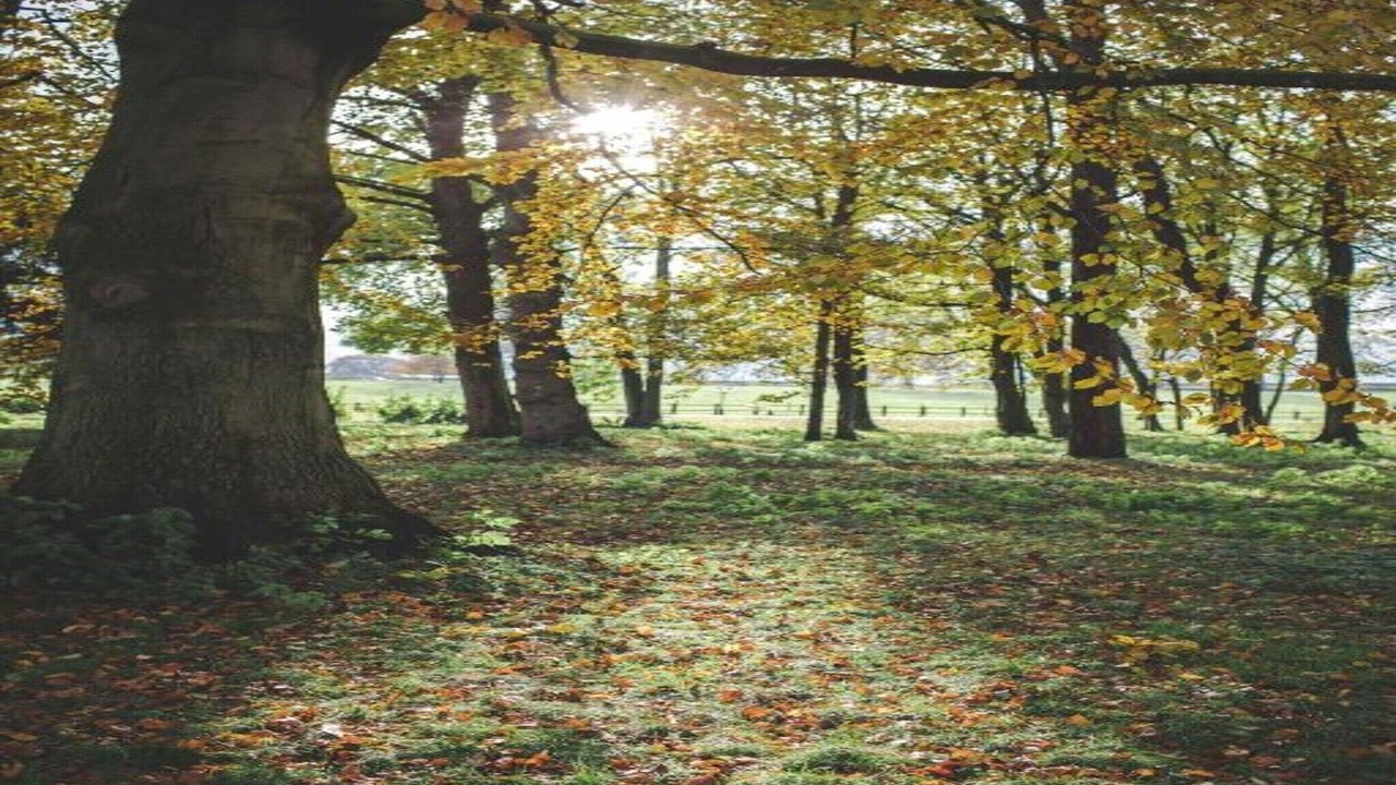 Photo of Others in Stoney Stretton