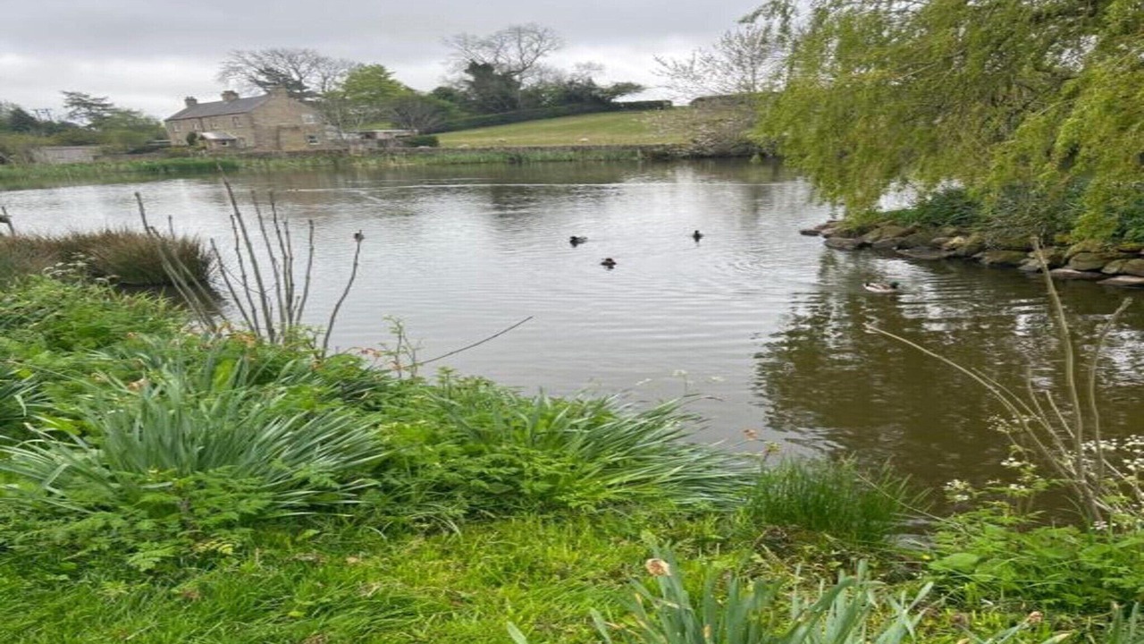 Photo of Others in Grewelthorpe