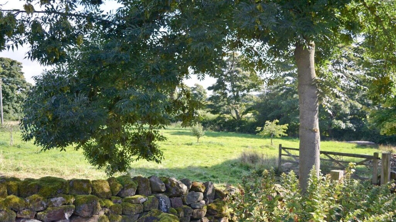 Photo of Others in Grewelthorpe