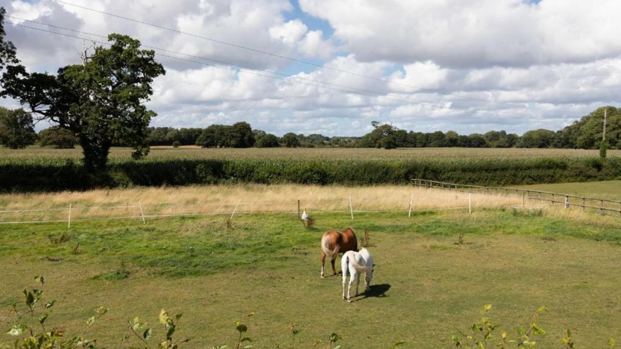 Photo of Others in Eaton Mascott