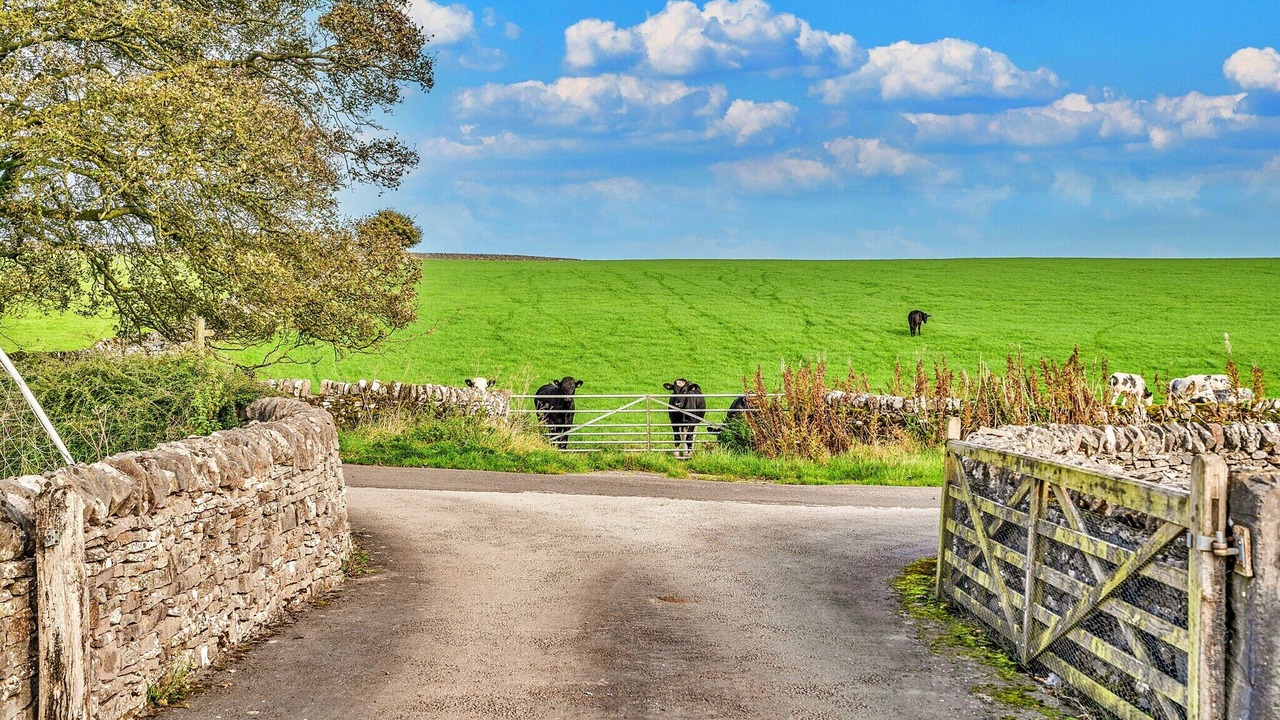 Photo of Outdoor in Newton Grange