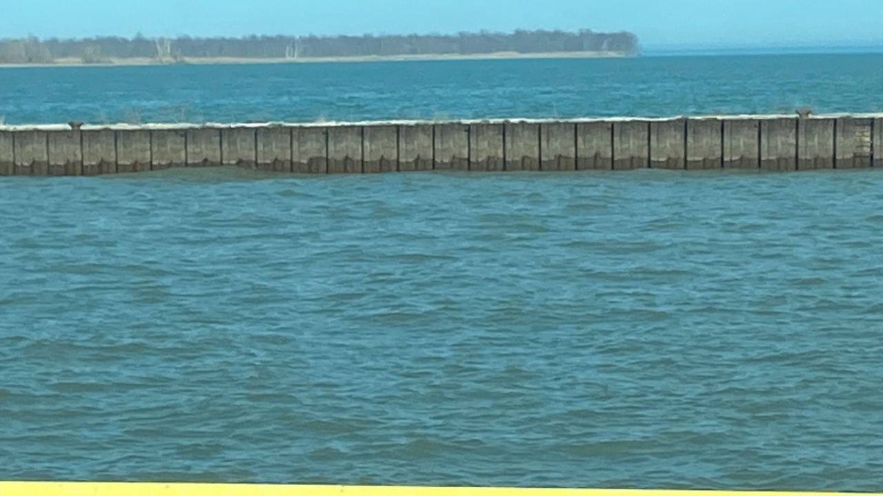 Photo of Others in Harwich