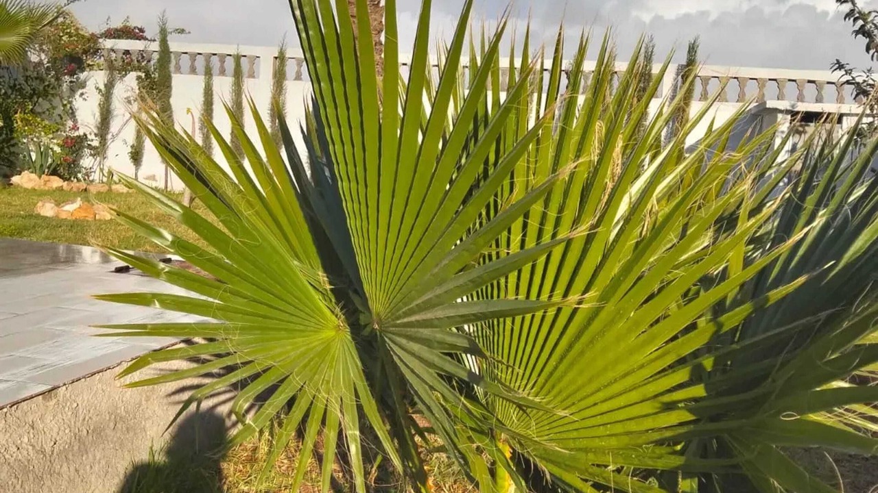 Photo of Outdoor in Ait Melloul
