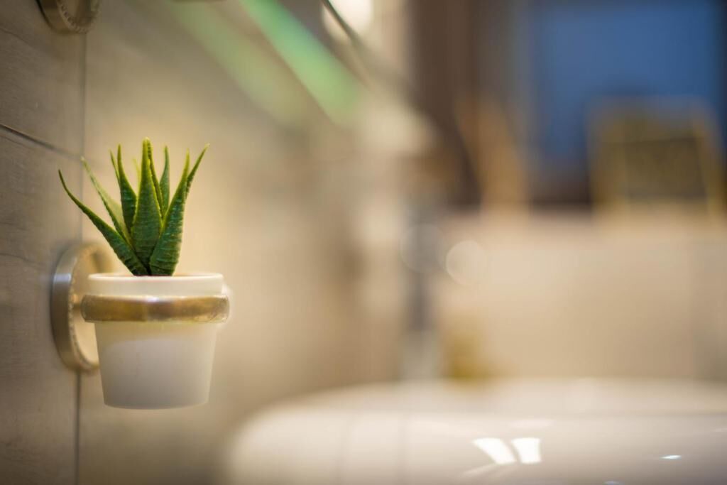 Photo of Bathroom in Calimanesti