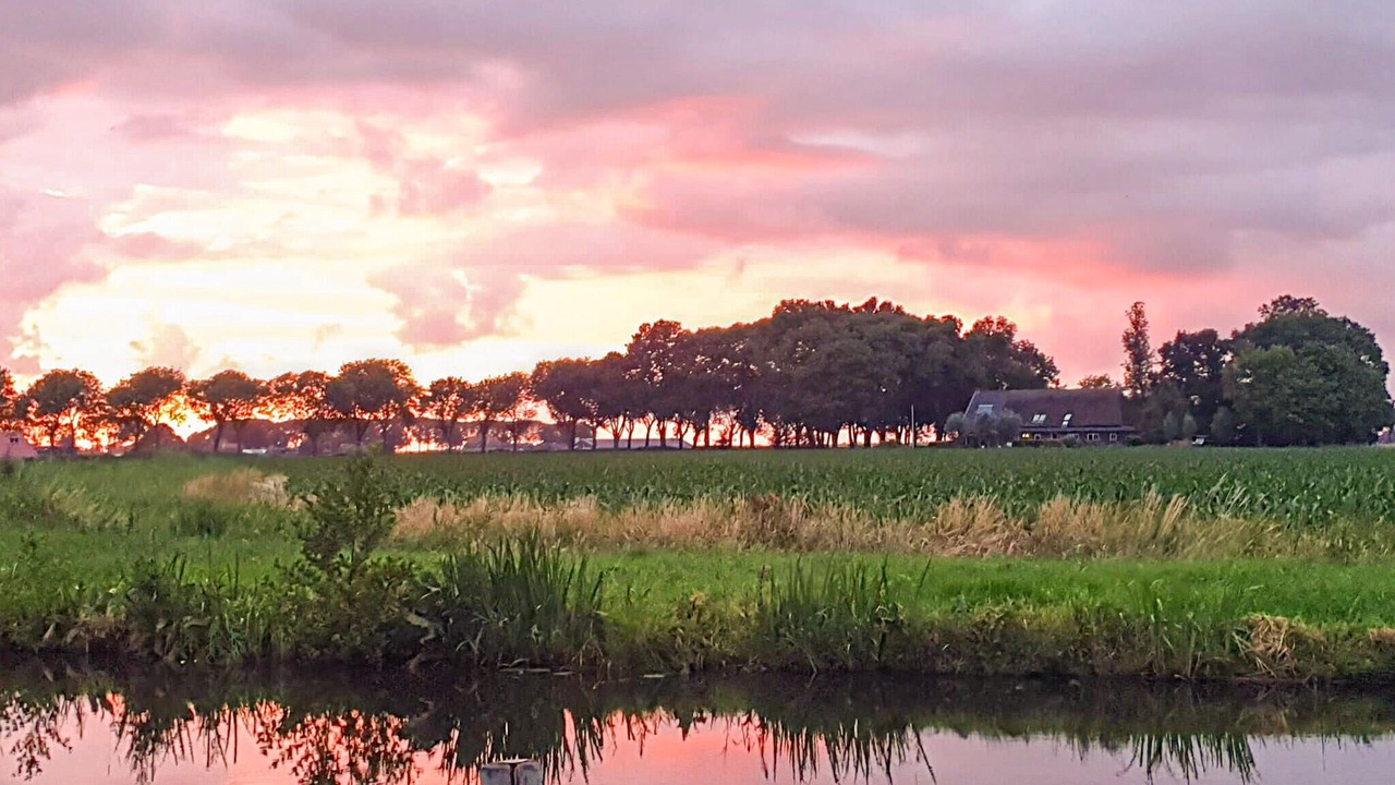 Photo of Others in Blokzijl