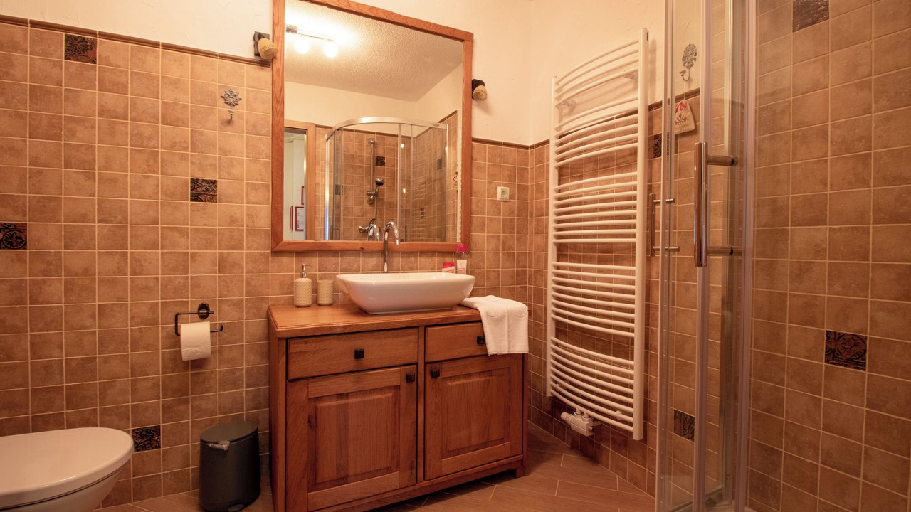 Photo of Bathroom in Bohinjska Bistrica