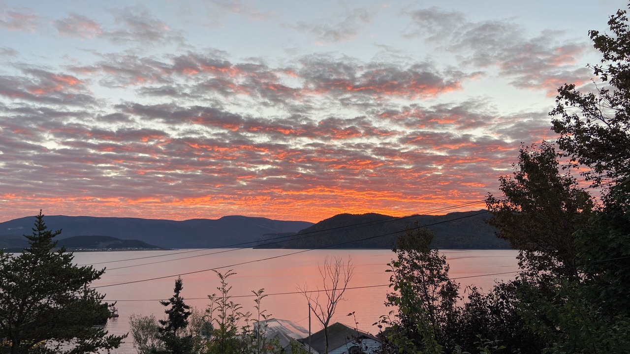 Photo of Others in Woody Point