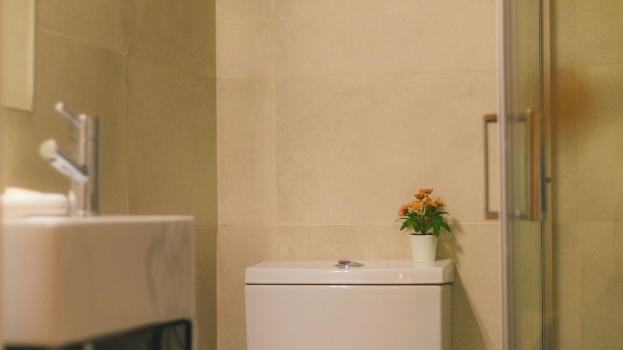 Photo of Bathroom in Alijo