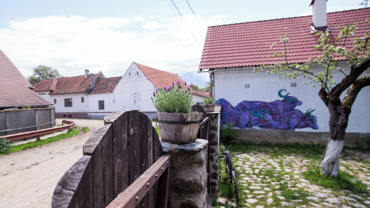 Photo of Outdoor in Cartisoara