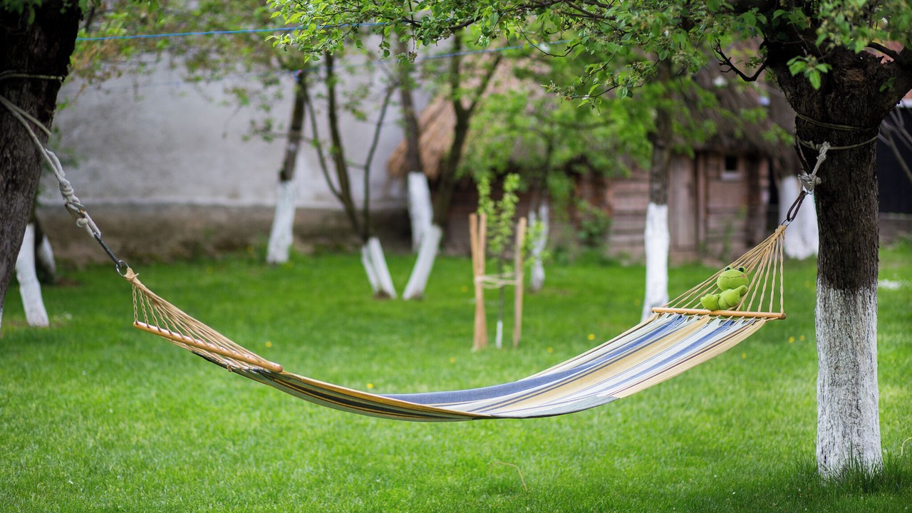 Photo of Outdoor in Cartisoara
