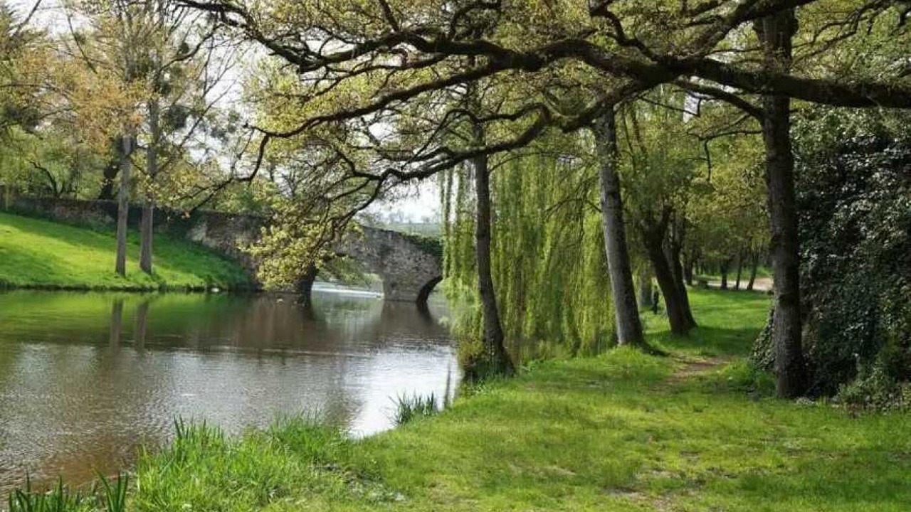 Photo of Others in Argenton-Chateau