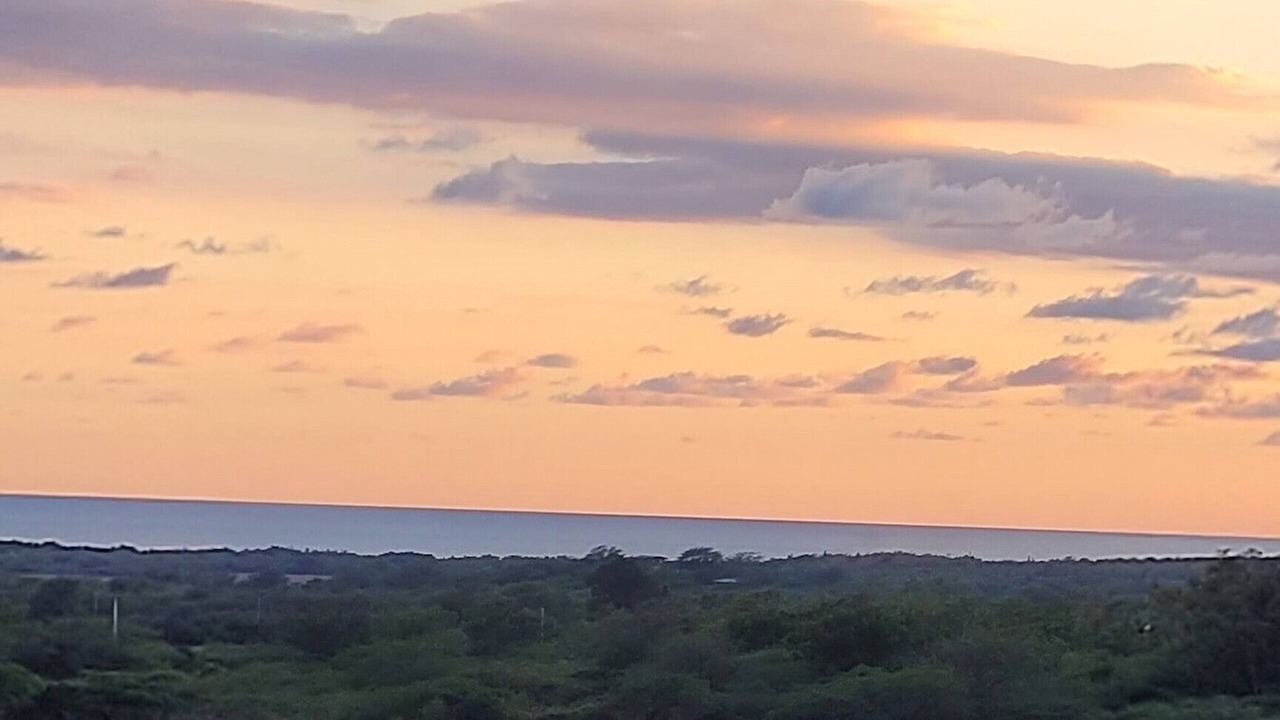 Photo of Others in Llanos Costa