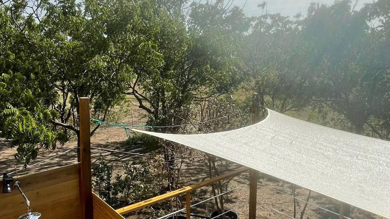 Photo of Outdoor in Llanos Costa