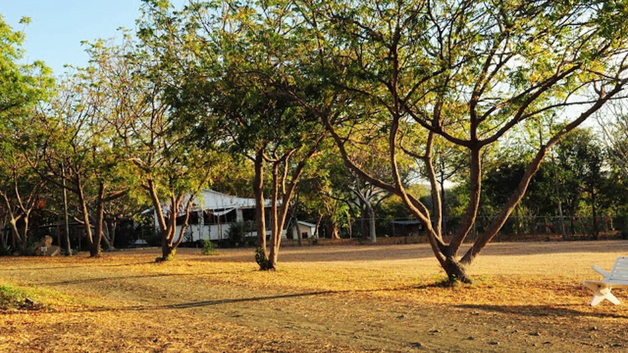 Photo of Outdoor in Llanos Costa