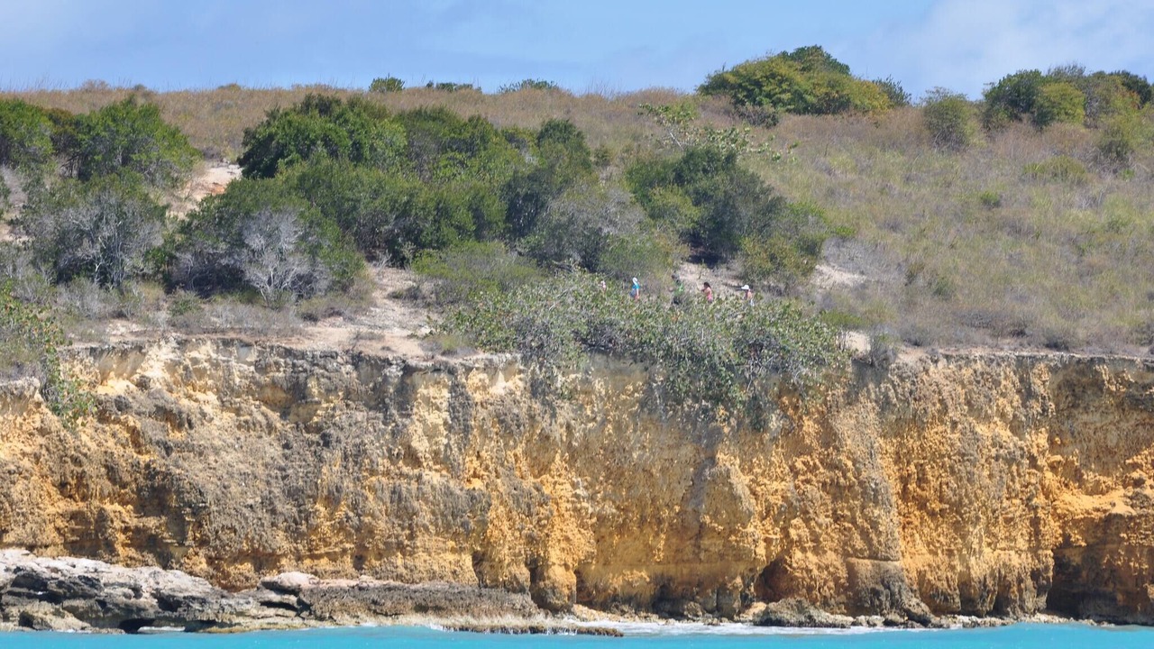 Photo of Others in Llanos Costa
