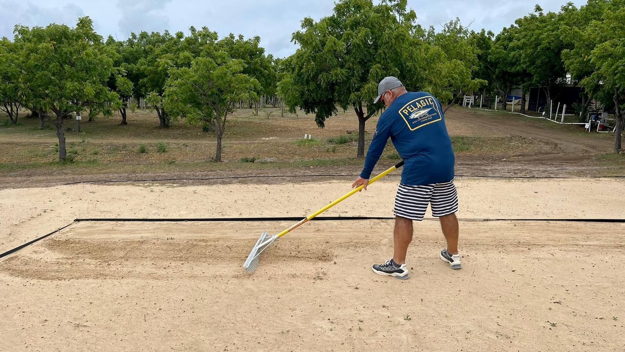 Photo of Others in Llanos Costa