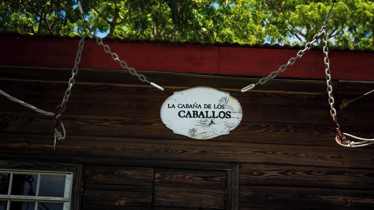 Photo of Outdoor in Llanos Costa