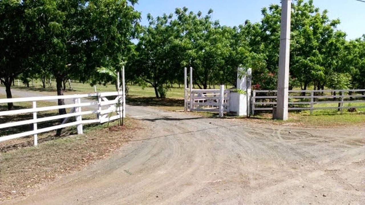 Photo of Others in Llanos Costa