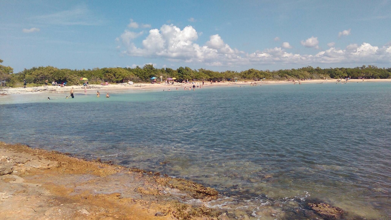 Photo of Others in Llanos Costa