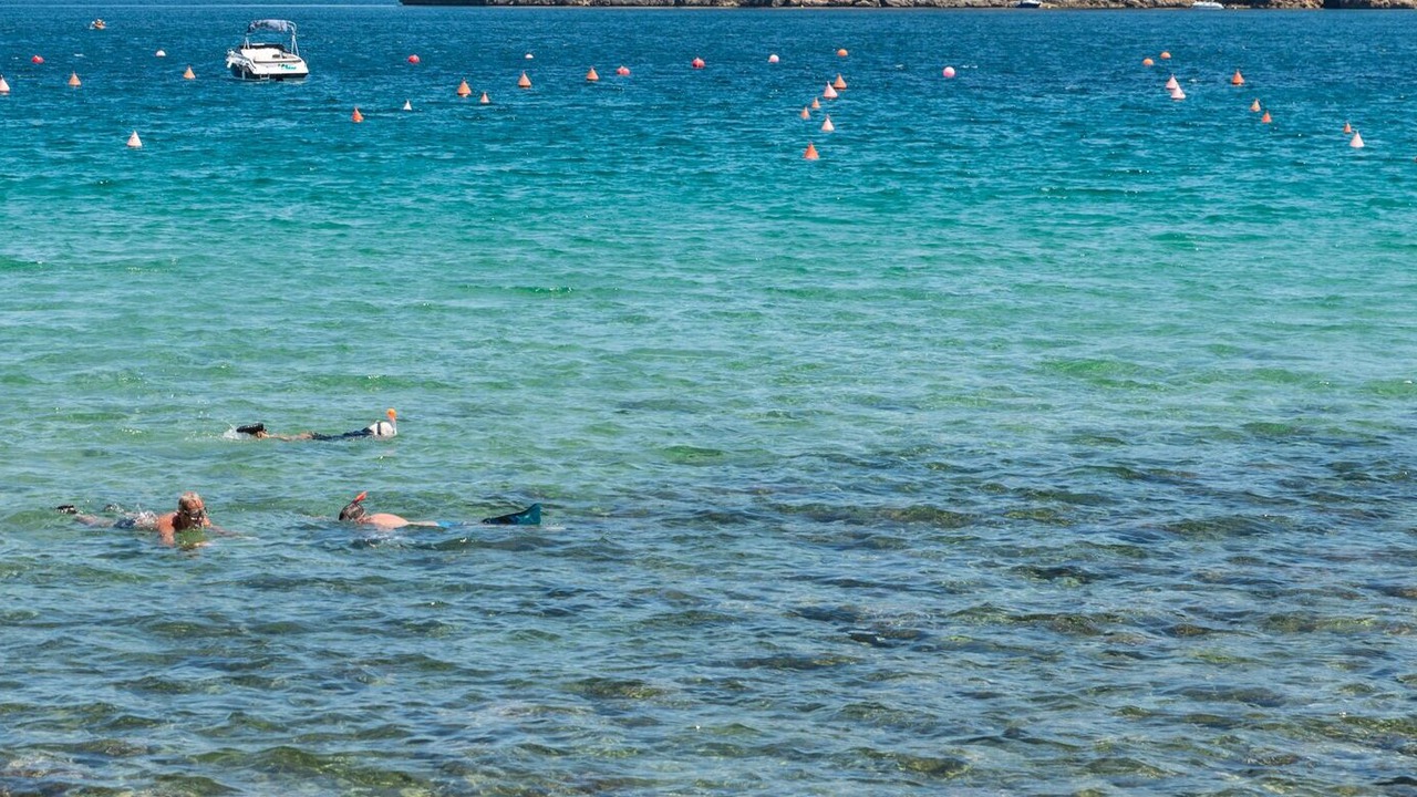 Photo of Others in L'Escala