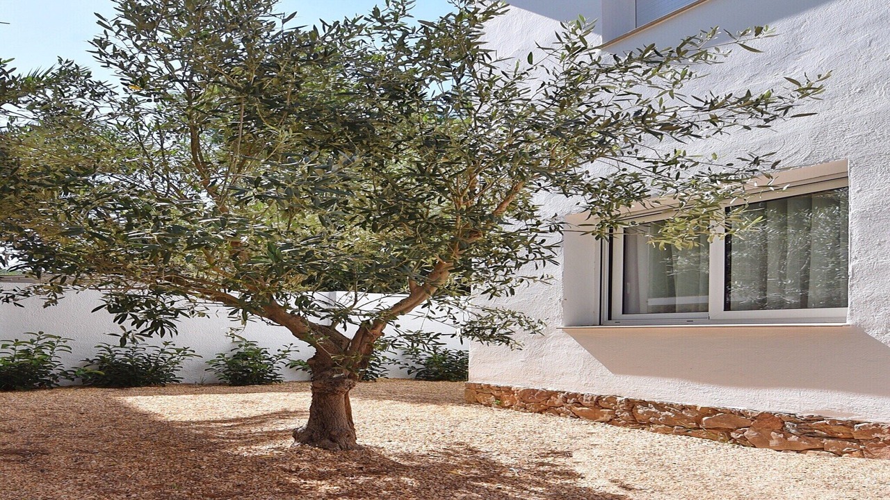 Photo of Outdoor in L'Escala