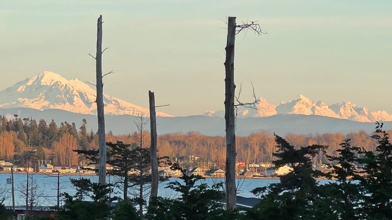 Photo of Others in Lummi Island