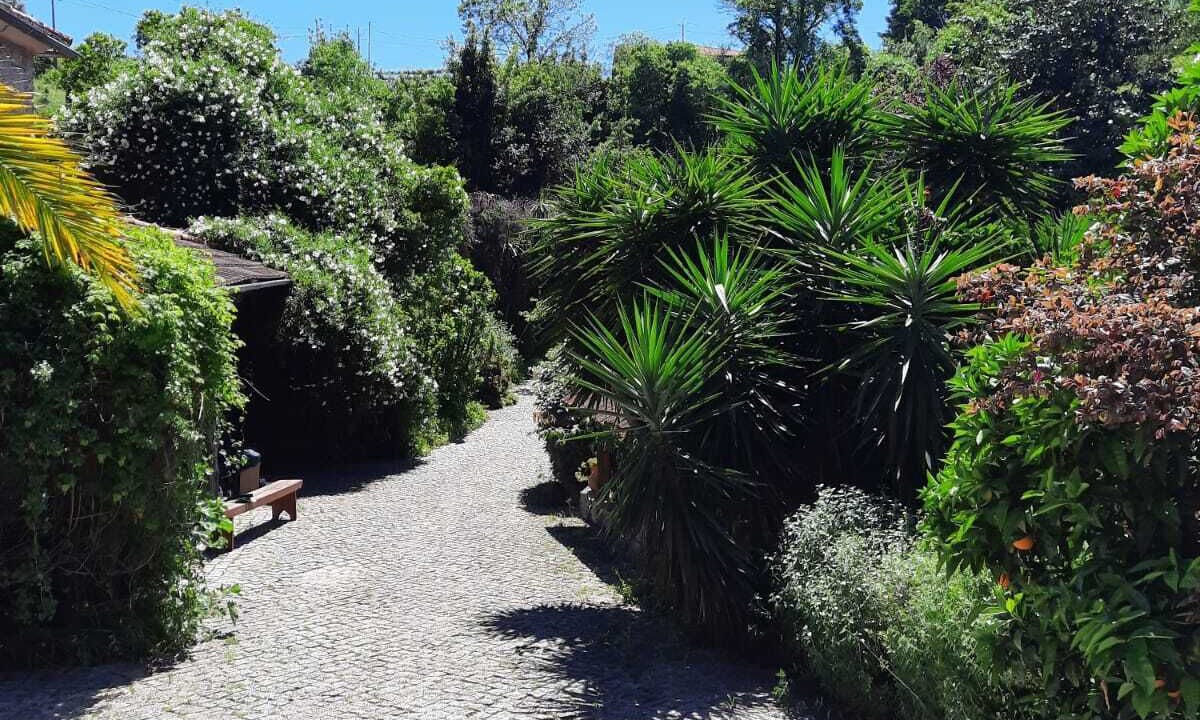 Photo of Outdoor in Vila Cha do Marao