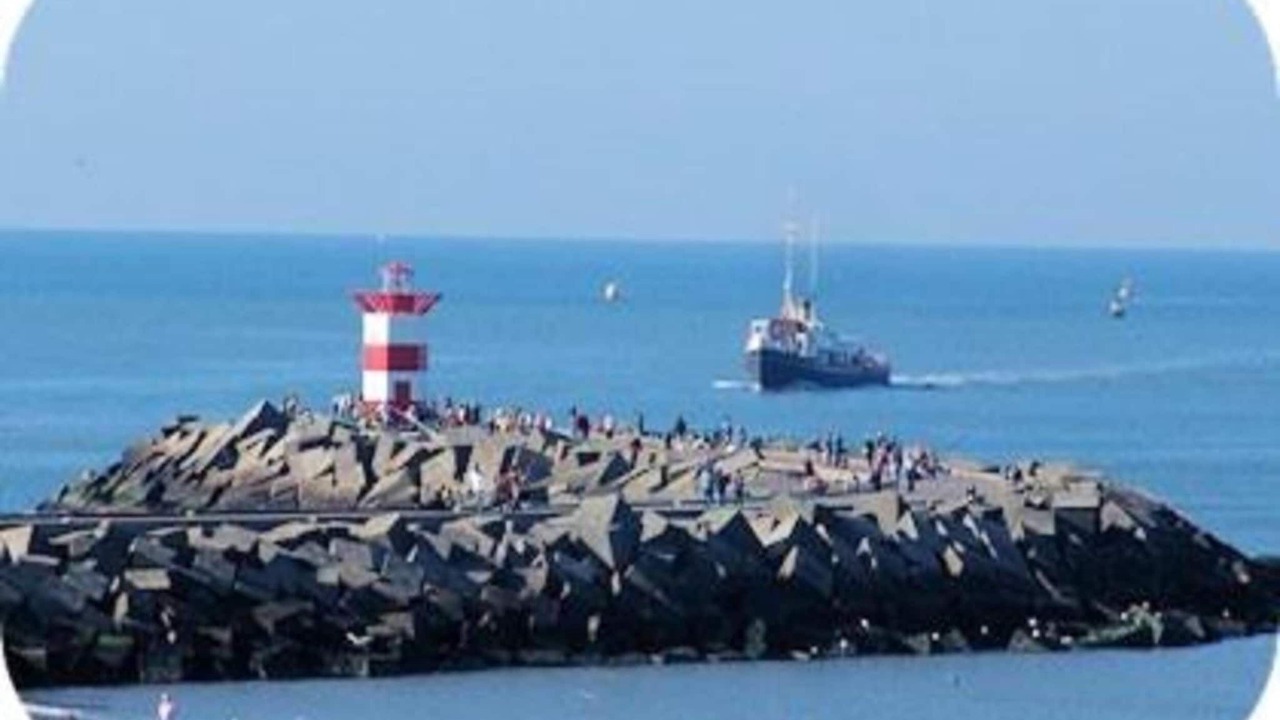 Photo of Others in Vissershaven