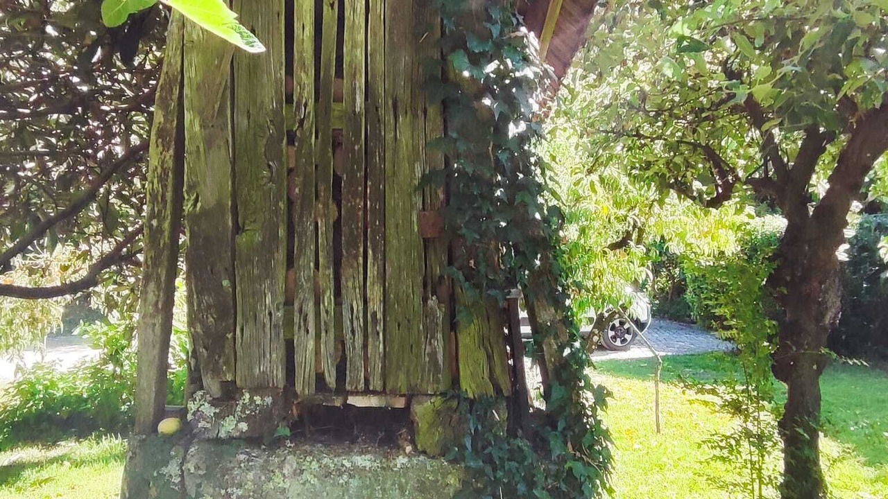 Photo of Outdoor in Vila Cha do Marao