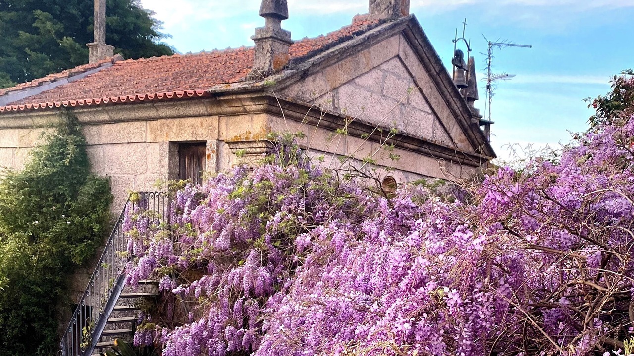 Photo of Others in Vila Cha do Marao