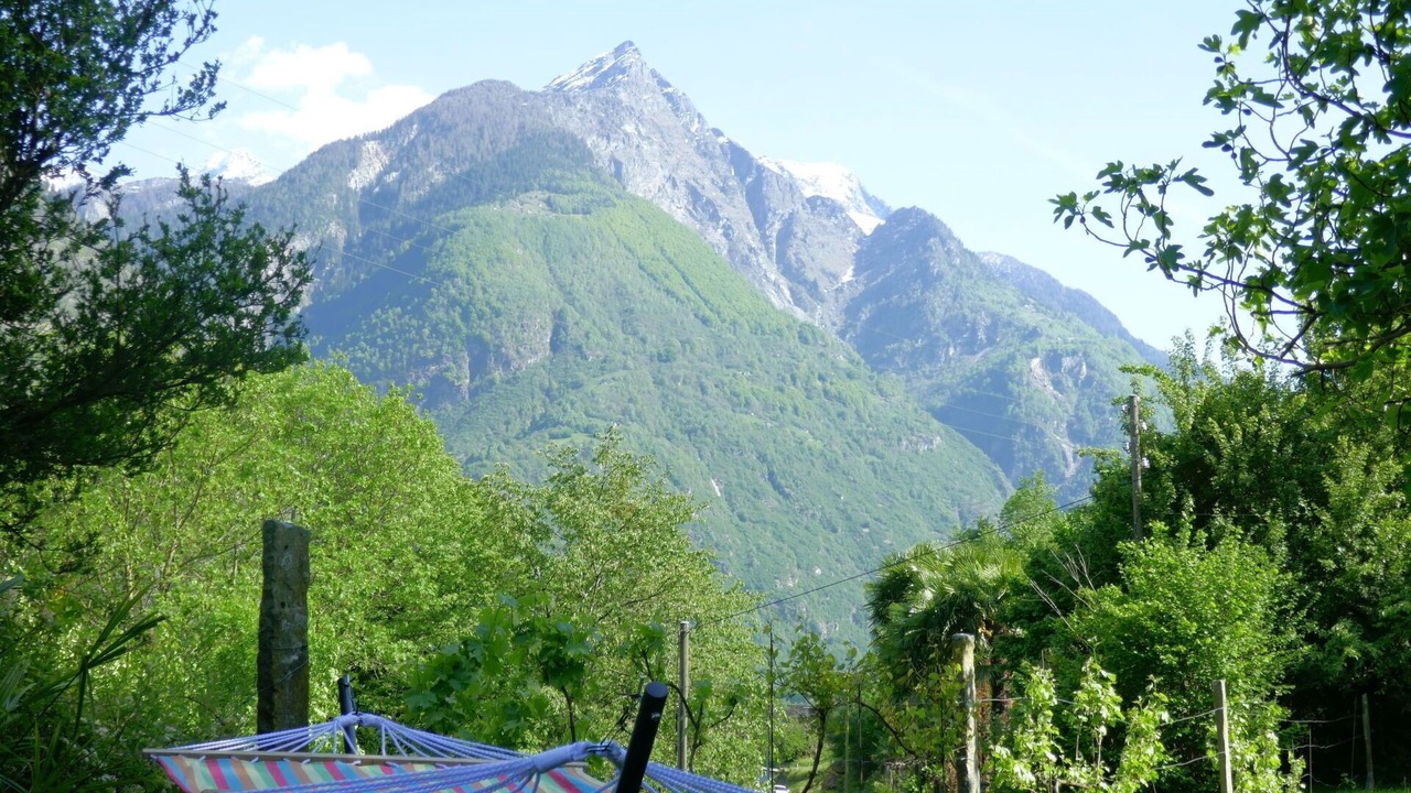 Photo of Others in Semione