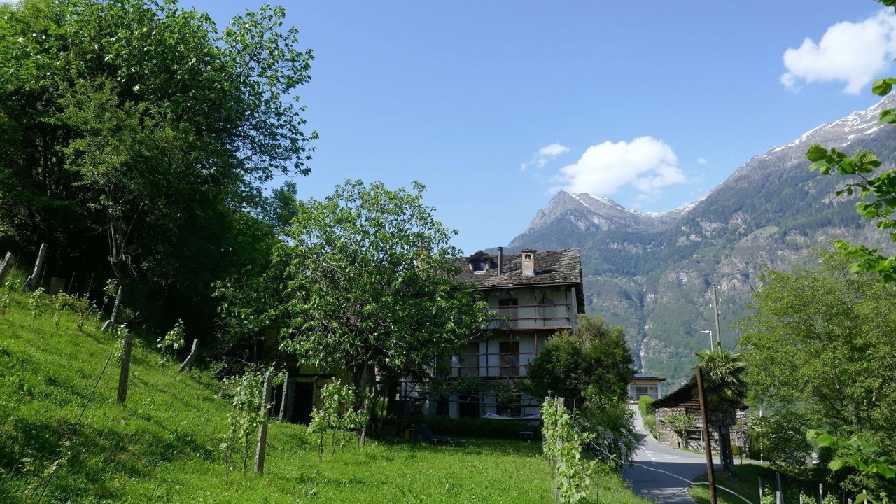 Photo of Others in Semione