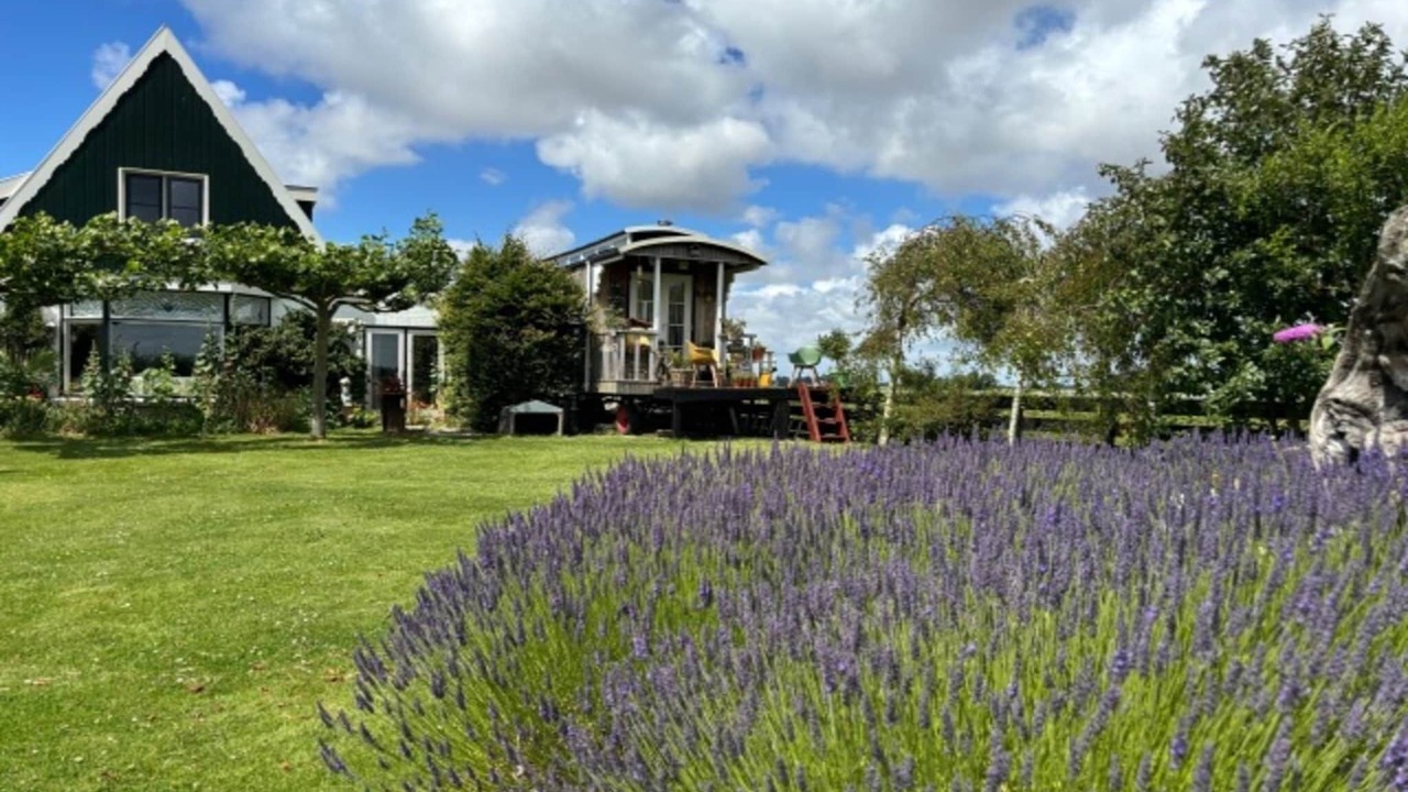 Photo of Outdoor in t Zand