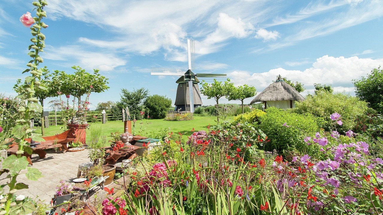 Photo of Outdoor in t Zand