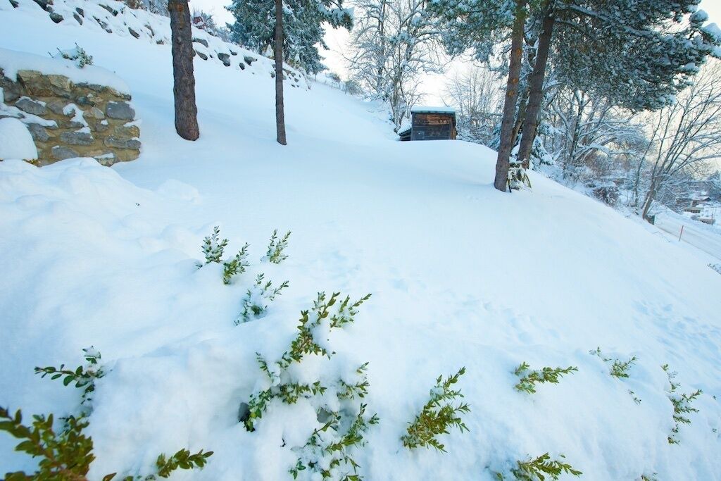 Photo of Outdoor in Leysin
