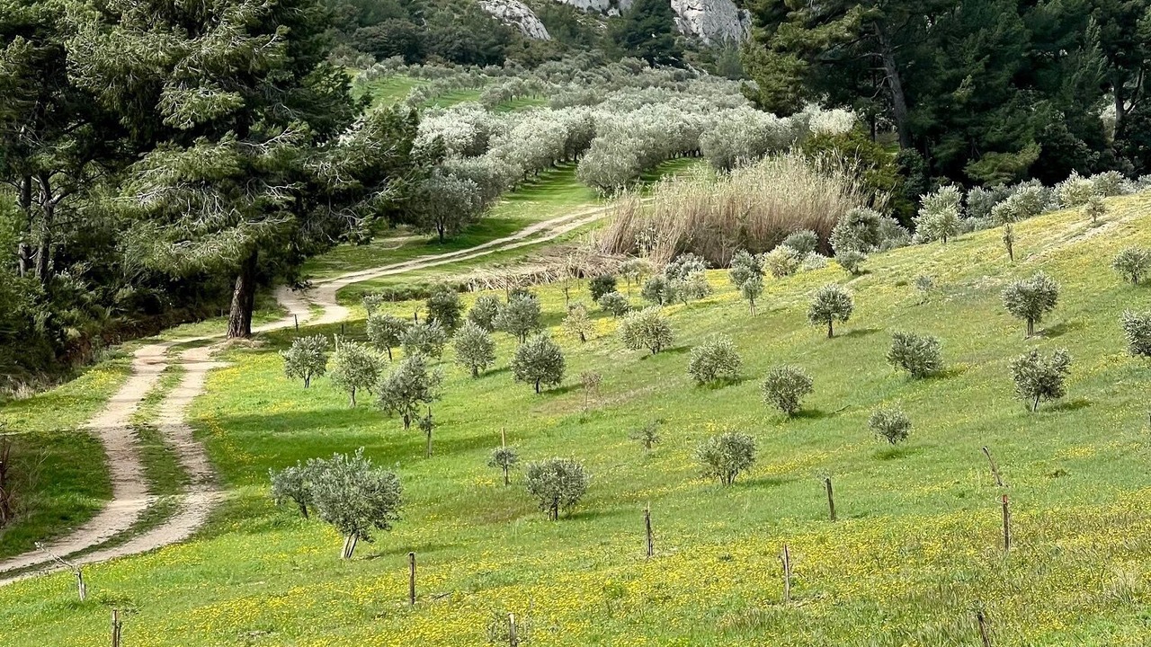 Photo of Others in Les Baux-de-Provence