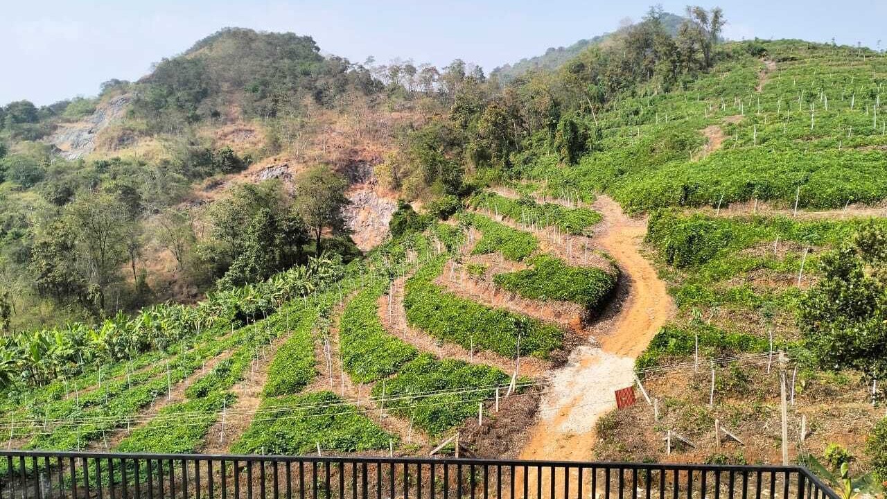 Photo of Outdoor in Kedavur