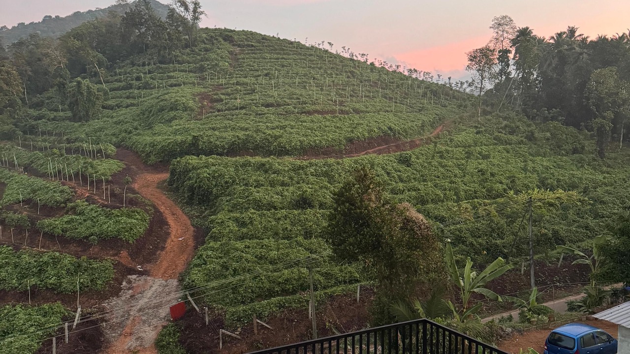 Photo of Outdoor in Kedavur