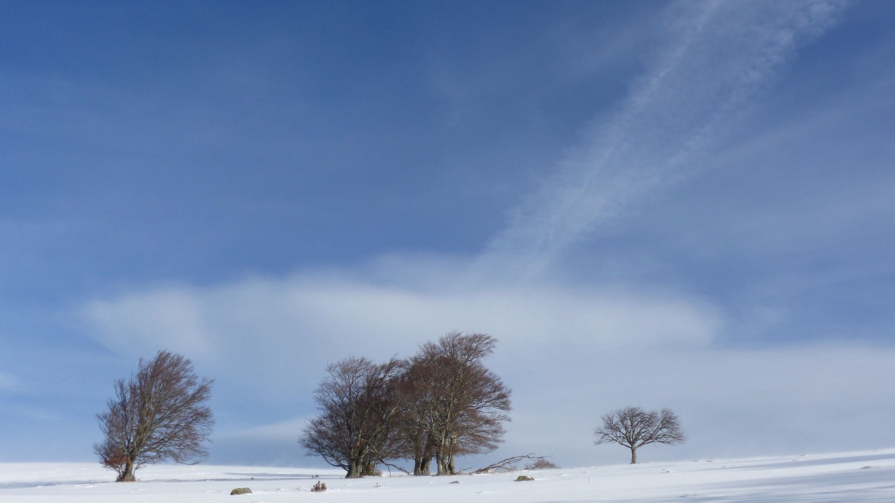 Photo of Others in Bourbach-le-Haut