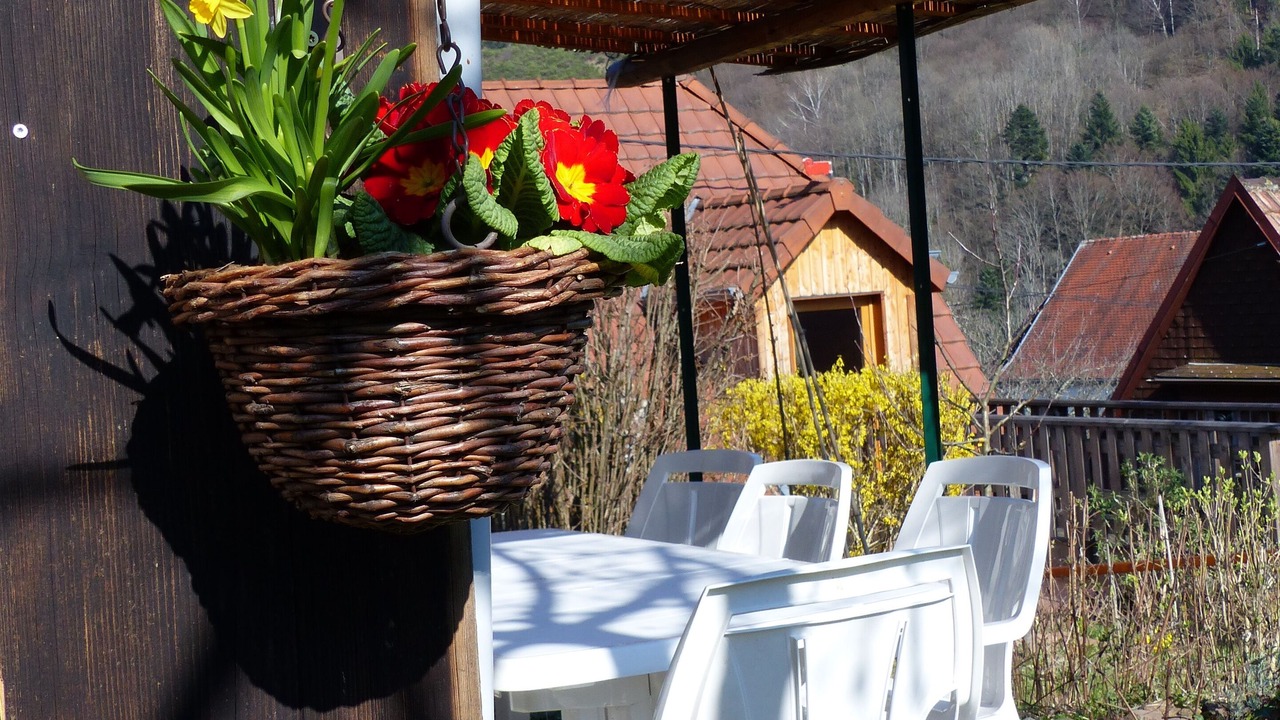 Photo of Outdoor in Bourbach-le-Haut
