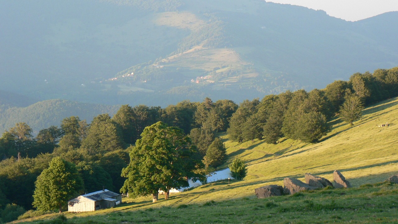 Photo of Others in Bourbach-le-Haut