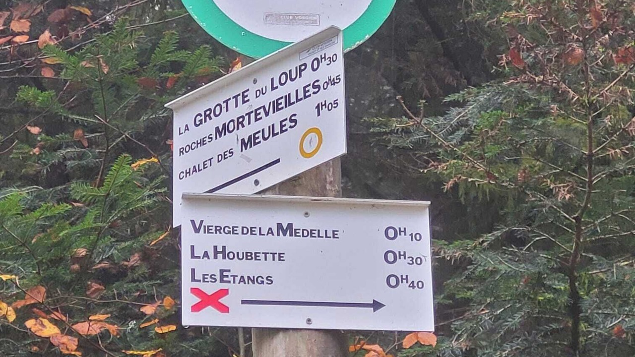 Photo of Outdoor in Dommartin-les-Remiremont