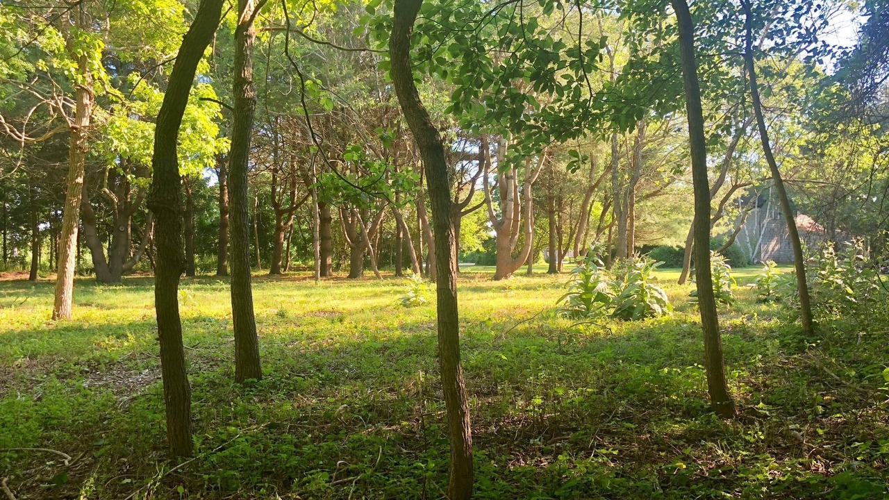 Photo of Outdoor in Sagaponack