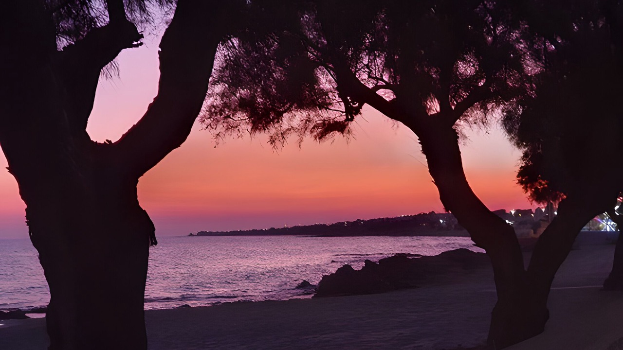 Photo of Others in Torre Ovo