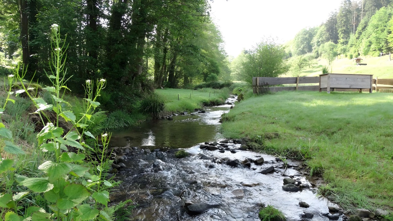 Photo of Outdoor in Bad Herrenalb