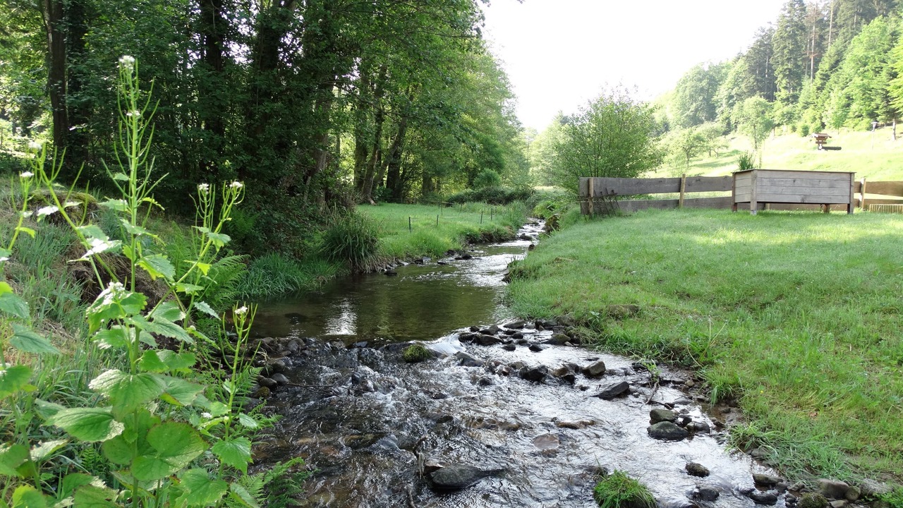 Photo of Outdoor in Bad Herrenalb