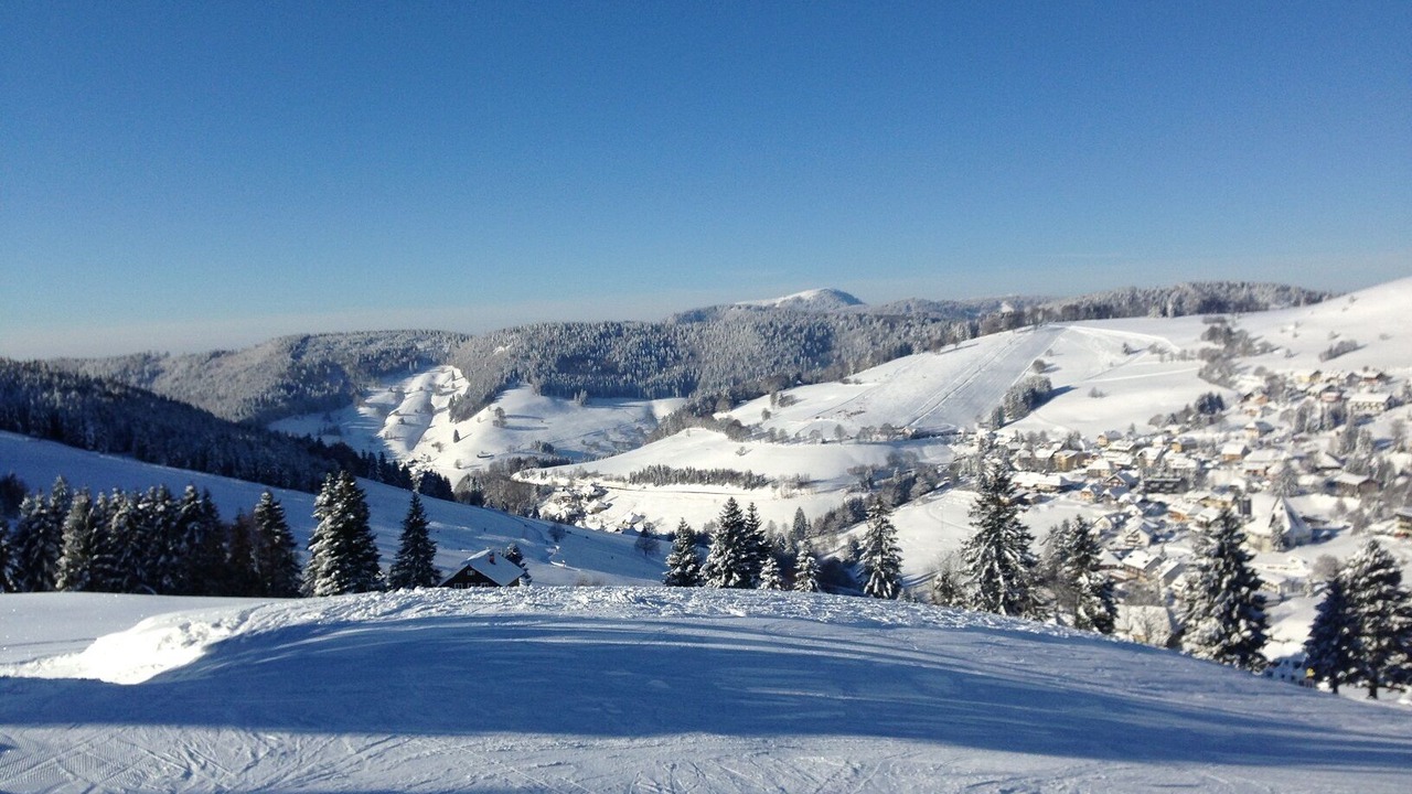 Photo of Others in Todtnauberg