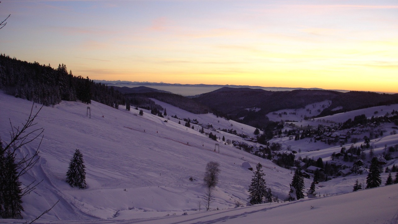 Photo of Others in Todtnauberg