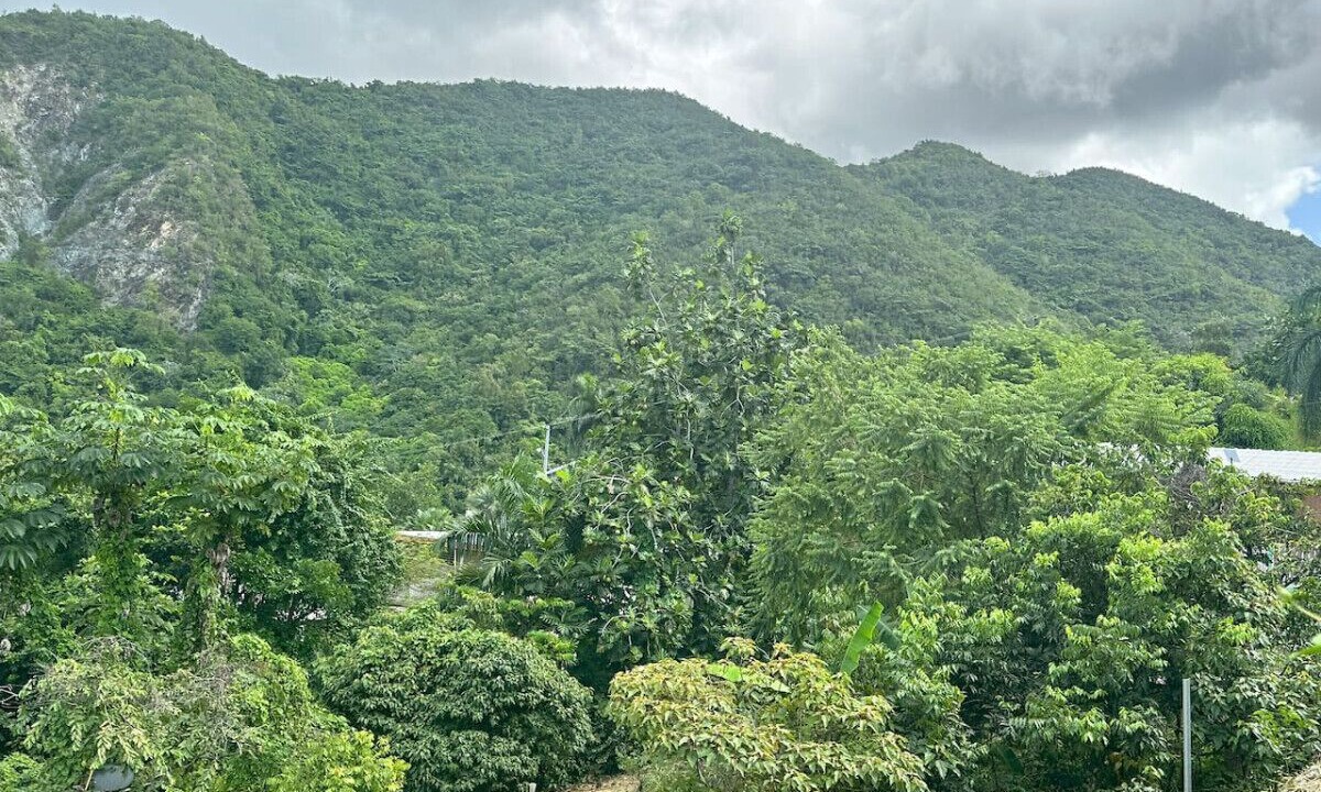 Photo of Others in Sabana Grande